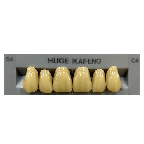 Anterior Kaifeng C4-S4