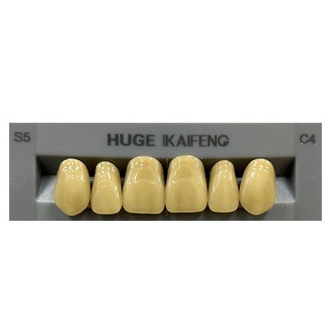 Anterior Kaifeng C4-S5