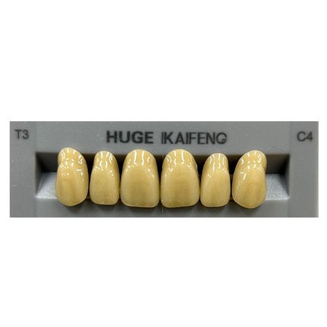 Anterior Kaifeng C4-T3