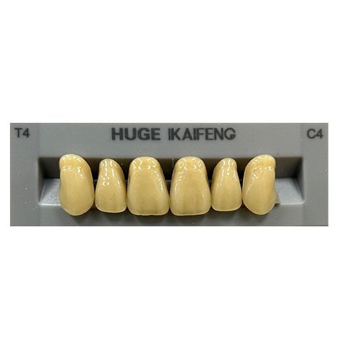 Anterior Kaifeng C4-T4