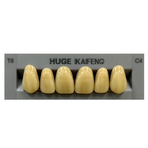 Anterior Kaifeng C4-T6