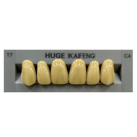 Anterior Kaifeng C4-T7