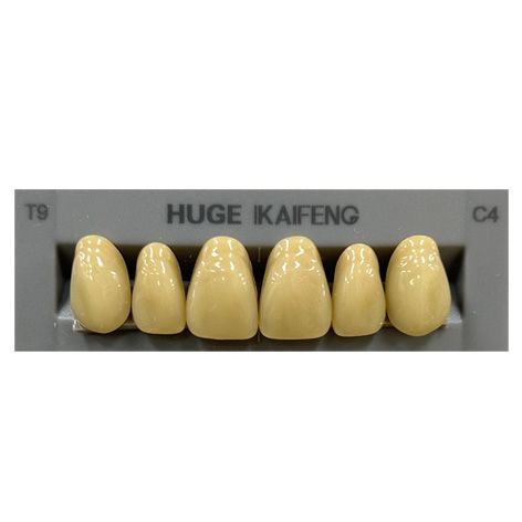 Anterior Kaifeng C4-T9