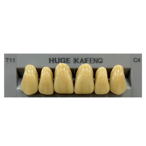 Anterior Kaifeng C4-T11