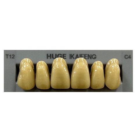 Anterior Kaifeng C4-T12