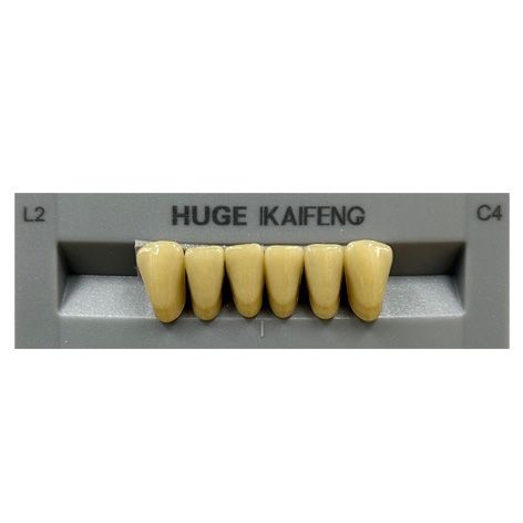 Anterior Kaifeng C4-L2