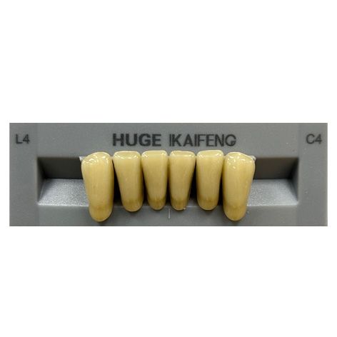 Anterior Kaifeng C4-L4