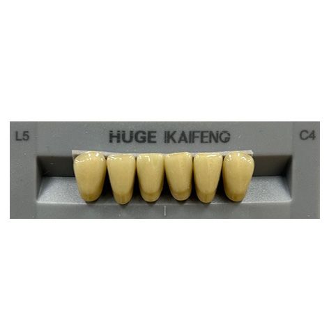 Anterior Kaifeng C4-L5