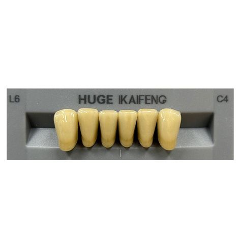 Anterior Kaifeng C4-L6