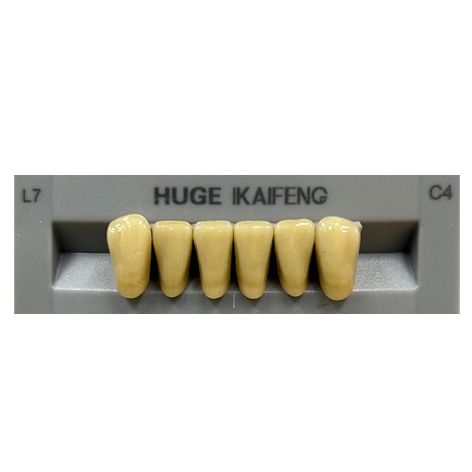 Anterior Kaifeng C4-L7