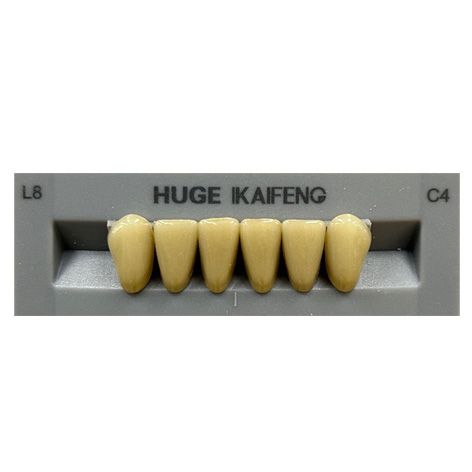 Anterior Kaifeng C4-L8