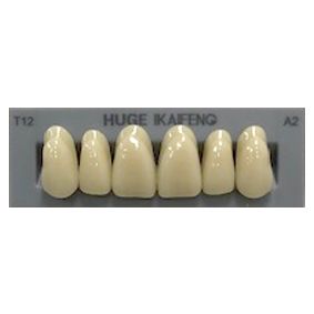 Anterior Kaifeng A2-T12