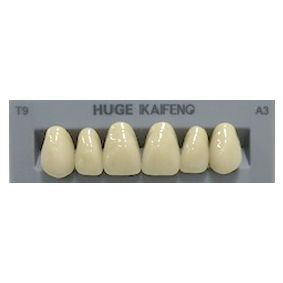 Anterior Kaifeng A3-T9