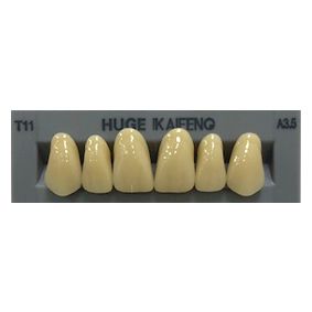 Anterior Kaifeng A3.5-T11