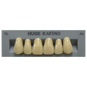 Anterior Kaifeng A4-T5