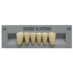 Anterior Kaifeng A4-L6