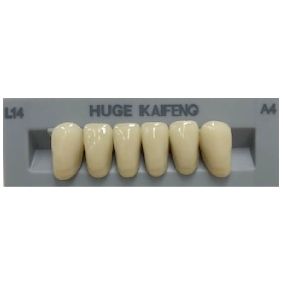 Anterior Kaifeng A4-L14