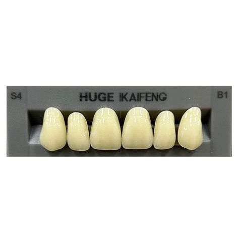 Anterior Kaifeng B1-S4