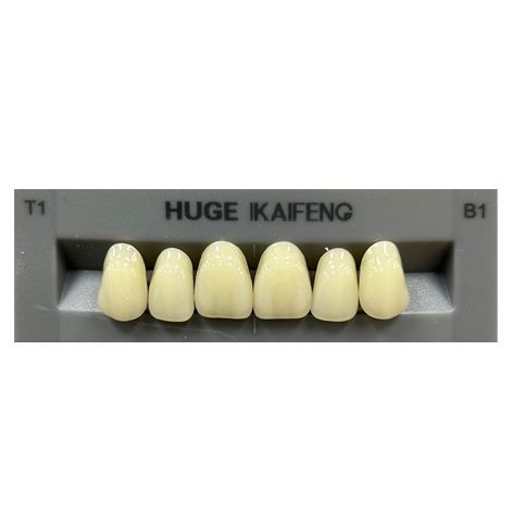 Anterior Kaifeng B1-T1