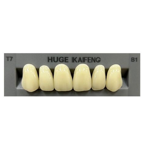 Anterior Kaifeng B1-T7