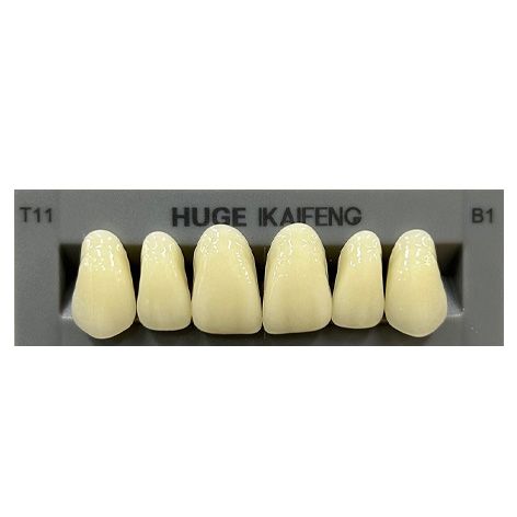 Anterior Kaifeng B1-T11