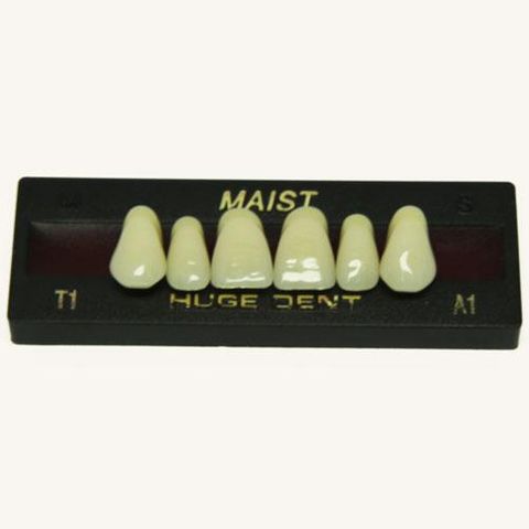 Anterior Maist A1-T1