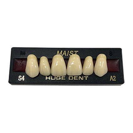 Anterior Maist A2-S4