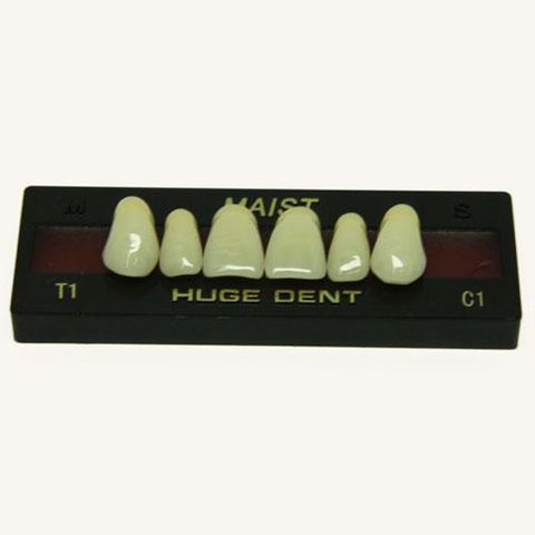 Anterior Maist C1-T1