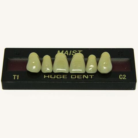 Anterior Maist C2-T1