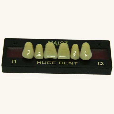 Anterior Maist C3-T1