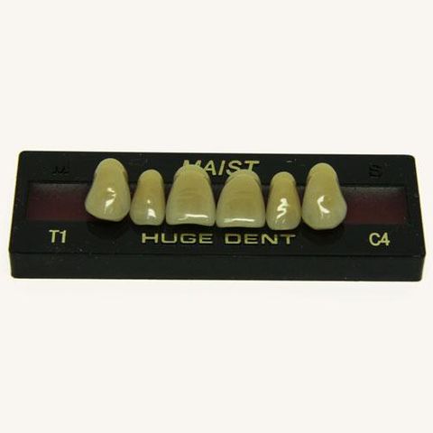 Anterior Maist C4-T1