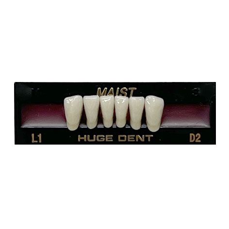 Maist Shade D2 Anterior