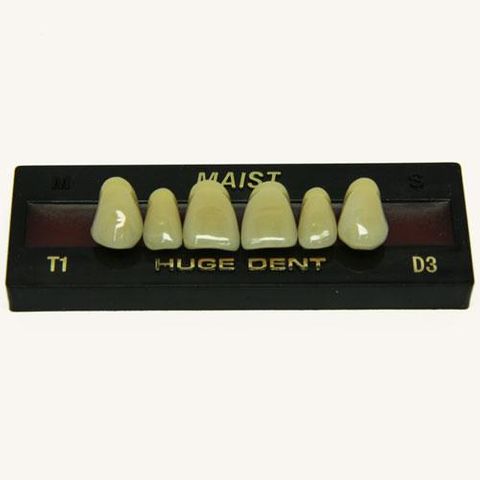 Anterior Maist D3-T1