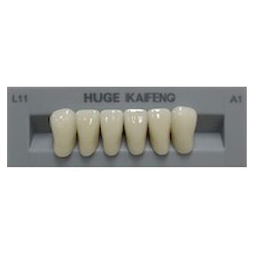 Anterior Kaifeng A1-L11