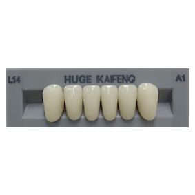 Anterior Kaifeng A1-L14