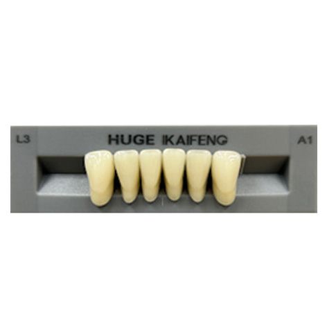 Anterior Kaifeng A1-L3