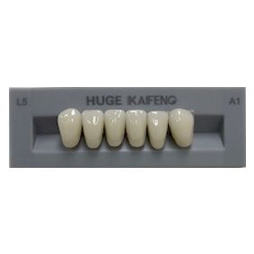 Anterior Kaifeng A1-L5