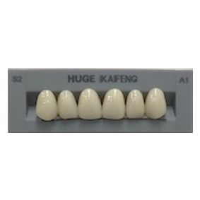 Anterior Kaifeng A1-S2