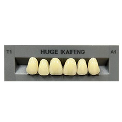 Anterior Kaifeng A1-T1