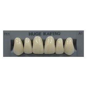 Anterior Kaifeng A1-T11