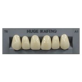 Anterior Kaifeng A1-T6