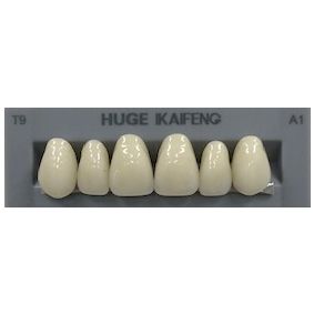 Anterior Kaifeng A1-T9