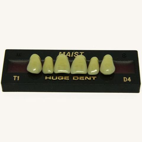 Anterior Maist D4-T1