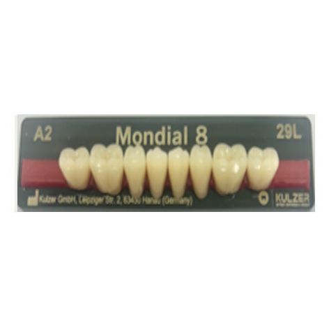 Mondial Shade A2 Posterior