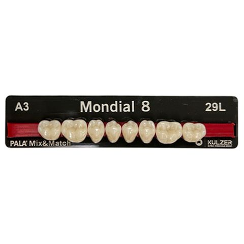 Mondial Shade A3 Posterior