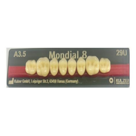 Mondial Shade A3.5 Posterior
