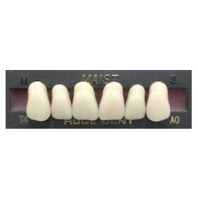 Anterior A0-T4 Bleach Shade