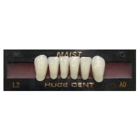 Anterior A0-L2 Bleach Shade