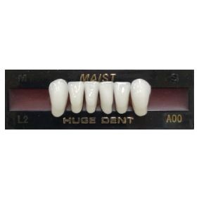 Anterior A00-L2 Bleach Shade