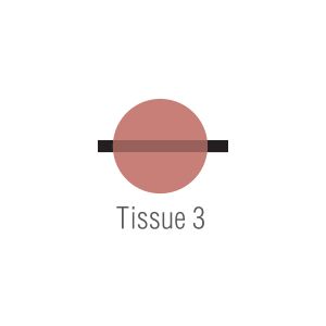 Noritake CZR Modifier Tissue T3 10g Dark Tissue
